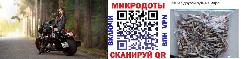 дарнет шоп  Заводоуковск  Псилоцибиновые грибы мицелий 